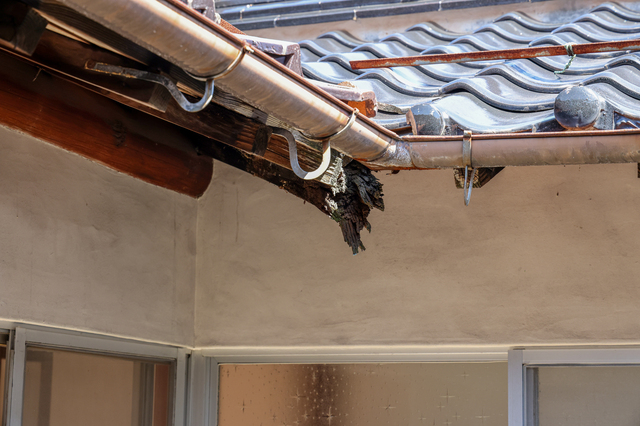 建物の外壁や鉄部等の劣化状況などを確認